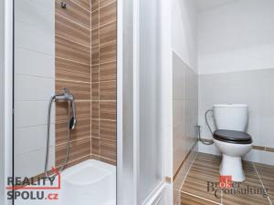 Prodej bytu 2+kk, Plzeň - Východní Předměstí, Slovanská, 51 m2