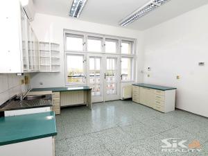 Pronájem komerční nemovitosti, Louny, Sladovnická, 98 m2