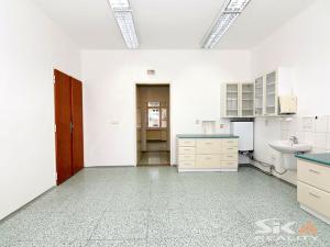 Pronájem komerční nemovitosti, Louny, Sladovnická, 98 m2