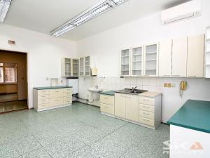 Pronájem komerční nemovitosti, Louny, Sladovnická, 98 m2