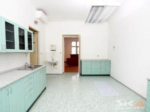 Pronájem komerční nemovitosti, Louny, Sladovnická, 98 m2
