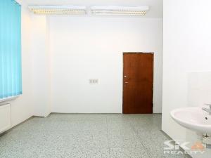 Pronájem komerční nemovitosti, Louny, Sladovnická, 98 m2