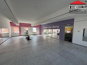 Pronájem kanceláře, Frýdek-Místek, Pionýrů, 430 m2
