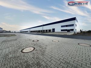 Pronájem výrobních prostor, Údlice, Droužkovická, 10000 m2