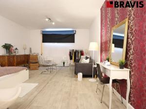 Pronájem komerční nemovitosti, Brno, Fryčajova, 45 m2