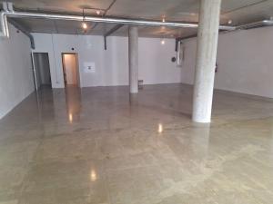 Prodej obchodního prostoru, Praha - Žižkov, Hartigova, 168 m2