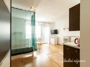 Pronájem bytu 1+kk, Praha - Letňany, Miroslava Hajna, 35 m2