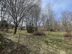 Prodej pozemku pro bydlení, Herálec, 1073 m2