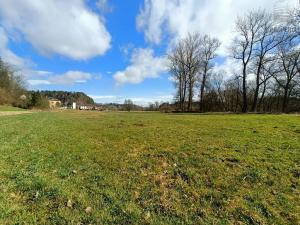 Prodej louky, Letohrad, 42740 m2
