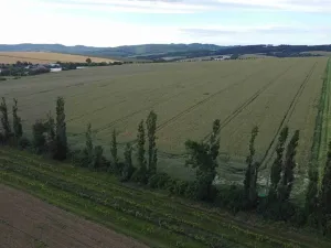 Dražba louky, Újezdec, 4351 m2