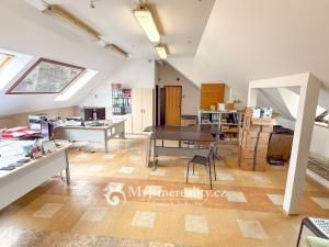 Prodej obchodního prostoru, Jihlava - Hruškové Dvory, 796 m2