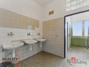 Pronájem výrobních prostor, Hradec Králové - Slezské Předměstí, Výrobní, 1059 m2