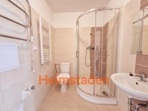 Pronájem bytu 1+kk, Havířov - Město, Hlavní třída, 28 m2