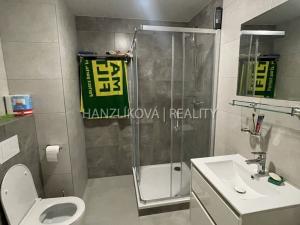 Pronájem bytu 2+kk, České Budějovice - České Budějovice 2, 53 m2