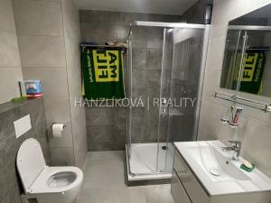 Pronájem bytu 2+kk, České Budějovice - České Budějovice 2, 53 m2