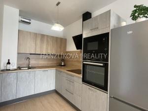 Pronájem bytu 2+kk, České Budějovice, U Branišovského lesa, 53 m2