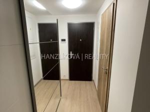 Pronájem bytu 2+kk, České Budějovice, U Branišovského lesa, 53 m2