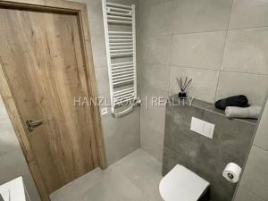 Pronájem bytu 2+kk, České Budějovice, U Branišovského lesa, 53 m2