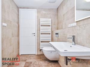 Pronájem bytu 1+kk, Praha - Troja, Pod Havránkou, 35 m2