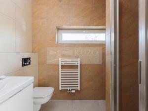 Pronájem rodinného domu, Mladá Boleslav - Debř, Láskov, 164 m2