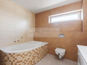 Pronájem rodinného domu, Mladá Boleslav - Debř, Láskov, 164 m2