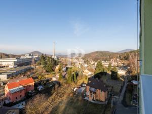 Prodej bytu 1+1, Kamenický Šenov, Pískovec I, 40 m2