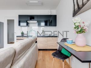 Pronájem bytu 1+kk, Praha - Vinohrady, Perucká, 25 m2