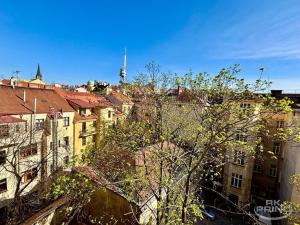 Pronájem bytu 2+kk, Praha - Žižkov, Husinecká, 55 m2