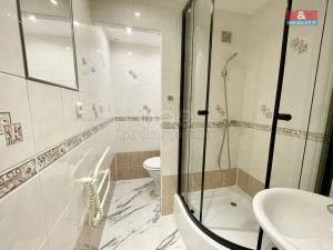 Pronájem bytu 2+kk, Sokolov, Švabinského, 40 m2