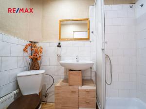 Prodej chalupy, Blšany, 90 m2