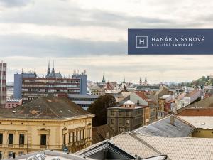 Pronájem bytu 1+kk, Brno, Cejl, 36 m2