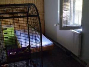 Prodej rodinného domu, Dolní Brusnice, Dolní Brusnice, 581 m2