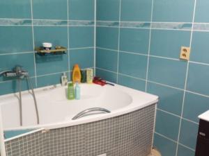 Prodej rodinného domu, Dolní Brusnice, Dolní Brusnice, 581 m2