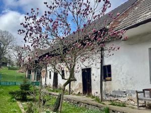 Prodej chalupy, Budíškovice - Vesce, 104 m2