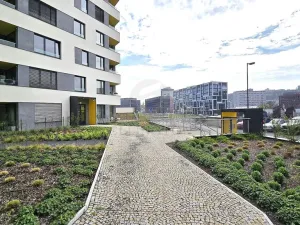 Pronájem bytu 2+kk, Praha - Karlín, Sokolova, 54 m2