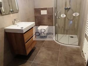 Pronájem bytu 2+kk, Hrušovany nad Jevišovkou, 53 m2