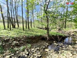 Prodej pozemku pro bydlení, Žermanice, 4646 m2