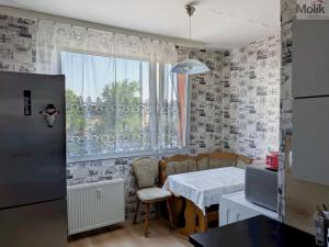 Prodej bytu 2+1, Teplice - Trnovany, U Vlastního krbu, 61 m2