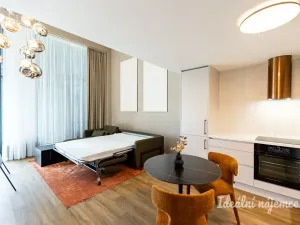 Pronájem bytu 1+kk, Praha - Holešovice, V háji, 43 m2