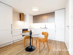 Pronájem bytu 1+kk, Praha - Holešovice, V háji, 43 m2