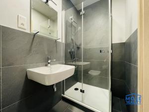 Pronájem bytu 2+kk, Plzeň - Jižní Předměstí, Kotkova, 35 m2