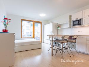 Pronájem bytu 1+kk, Praha - Hloubětín, Modrého, 34 m2