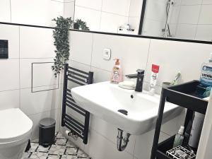 Pronájem bytu 2+kk, Brno, Údolní, 42 m2