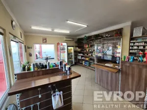 Prodej komerční nemovitosti, Kolín, Ovčárecká, 2741 m2