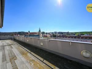 Prodej obchodního prostoru, Velehrad, Salašská, 1600 m2
