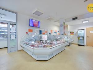Prodej obchodního prostoru, Velehrad, Salašská, 1600 m2