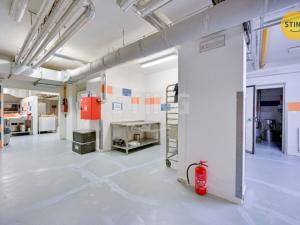 Prodej obchodního prostoru, Velehrad, Salašská, 1600 m2