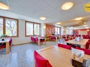 Prodej obchodního prostoru, Velehrad, Salašská, 1600 m2