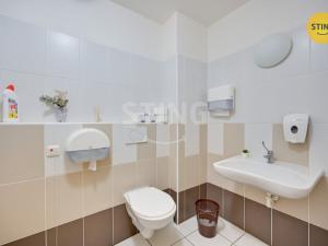 Prodej obchodního prostoru, Velehrad, Salašská, 1600 m2