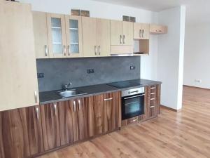 Pronájem bytu 3+kk, Ostrava, Mlýnská, 113 m2